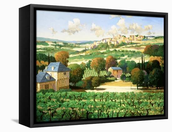 Vineyards of Provence-Max Hayslette-Framed Premier Image Canvas