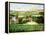 Vineyards of Provence-Max Hayslette-Framed Premier Image Canvas