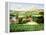 Vineyards of Provence-Max Hayslette-Framed Premier Image Canvas