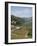 Vineyards of Quinta Do Mourao, Near Regua, Portugal-Sheila Terry-Framed Photographic Print