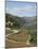 Vineyards of Quinta Do Mourao, Near Regua, Portugal-Sheila Terry-Mounted Photographic Print