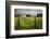 Vineyards of the Cambridge Road Winery-Stuart-Framed Photographic Print