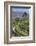Vineyards of the Douro Valley, Pinhao, Portugal-Julie Eggers-Framed Photographic Print