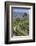 Vineyards of the Douro Valley, Pinhao, Portugal-Julie Eggers-Framed Photographic Print