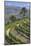 Vineyards of the Douro Valley, Pinhao, Portugal-Julie Eggers-Mounted Photographic Print