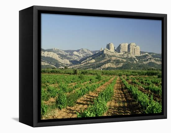 Vineyards of the Terra Alta, Near Tarragona, Catalonia, Spain-Michael Busselle-Framed Premier Image Canvas