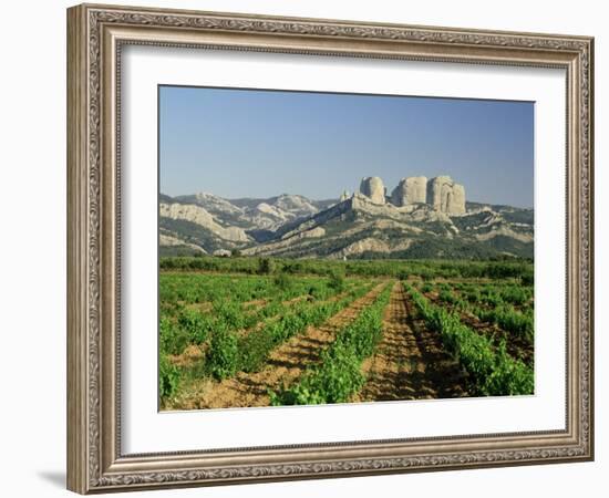 Vineyards of the Terra Alta, Near Tarragona, Catalonia, Spain-Michael Busselle-Framed Photographic Print