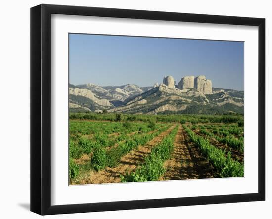 Vineyards of the Terra Alta, Near Tarragona, Catalonia, Spain-Michael Busselle-Framed Photographic Print