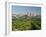 Vineyards of the Terra Alta, Near Tarragona, Catalonia, Spain-Michael Busselle-Framed Photographic Print