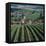 Vineyards of Ville Domange, North Side of Montagne De Reims-Joe Cornish-Framed Premier Image Canvas