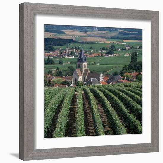 Vineyards of Ville Domange, North Side of Montagne De Reims-Joe Cornish-Framed Photographic Print