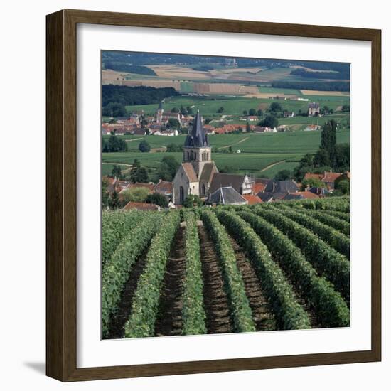 Vineyards of Ville Domange, North Side of Montagne De Reims-Joe Cornish-Framed Photographic Print