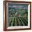 Vineyards of Ville Domange, North Side of Montagne De Reims-Joe Cornish-Framed Photographic Print