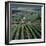 Vineyards of Ville Domange, North Side of Montagne De Reims-Joe Cornish-Framed Photographic Print