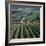 Vineyards of Ville Domange, North Side of Montagne De Reims-Joe Cornish-Framed Photographic Print