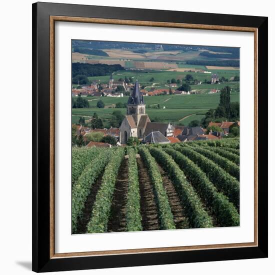 Vineyards of Ville Domange, North Side of Montagne De Reims-Joe Cornish-Framed Photographic Print