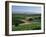 Vineyards, Oliverhill Wines, Mclaren Vale, South Australia, Australia, Pacific-Neale Clarke-Framed Photographic Print