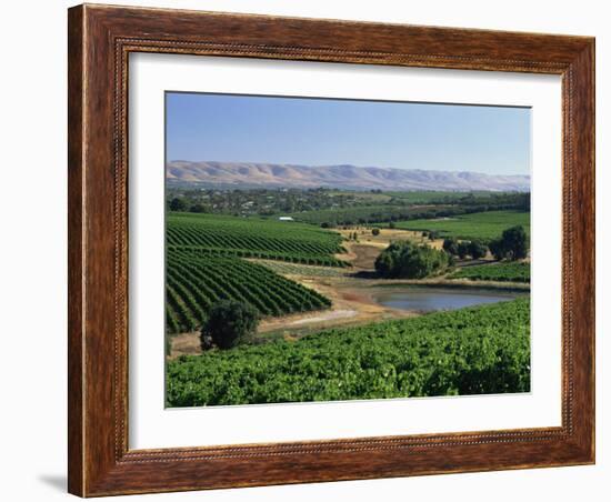 Vineyards, Oliverhill Wines, Mclaren Vale, South Australia, Australia, Pacific-Neale Clarke-Framed Photographic Print