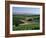 Vineyards, Oliverhill Wines, Mclaren Vale, South Australia, Australia, Pacific-Neale Clarke-Framed Photographic Print