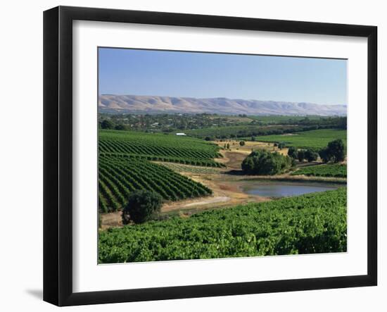 Vineyards, Oliverhill Wines, Mclaren Vale, South Australia, Australia, Pacific-Neale Clarke-Framed Photographic Print