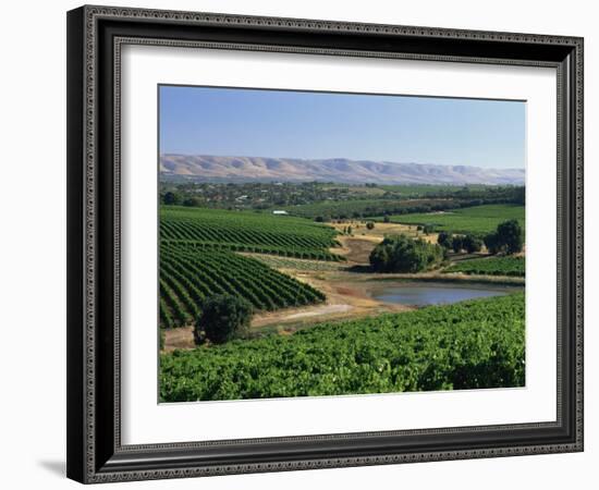 Vineyards, Oliverhill Wines, Mclaren Vale, South Australia, Australia, Pacific-Neale Clarke-Framed Photographic Print