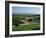 Vineyards, Oliverhill Wines, Mclaren Vale, South Australia, Australia, Pacific-Neale Clarke-Framed Photographic Print