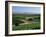 Vineyards, Oliverhill Wines, Mclaren Vale, South Australia, Australia, Pacific-Neale Clarke-Framed Photographic Print