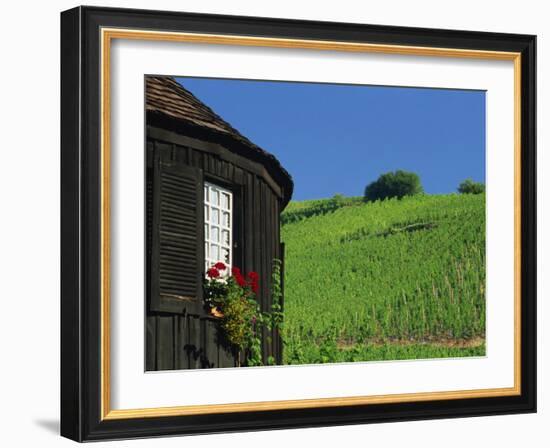 Vineyards on Hillside Behind Circular Timbered House, Riquewihr, Haut-Rhin, Alsace, France, Europe-Tomlinson Ruth-Framed Photographic Print