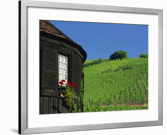 Vineyards on Hillside Behind Circular Timbered House, Riquewihr, Haut-Rhin, Alsace, France, Europe-Tomlinson Ruth-Framed Photographic Print