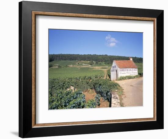 Vineyards on Route Des Grands Crus, Nuits St. Georges, Dijon, Burgundy, France-Geoff Renner-Framed Photographic Print