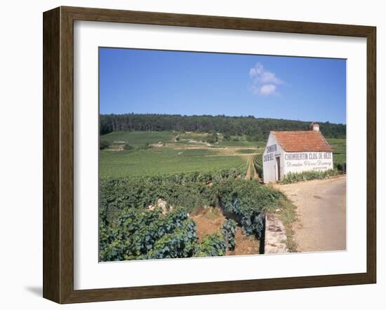 Vineyards on Route Des Grands Crus, Nuits St. Georges, Dijon, Burgundy, France-Geoff Renner-Framed Photographic Print