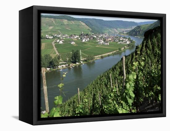 Vineyards on Slopes Above the Mosel River, Gravenburg, Germany, Europe-Oliviero Olivieri-Framed Premier Image Canvas