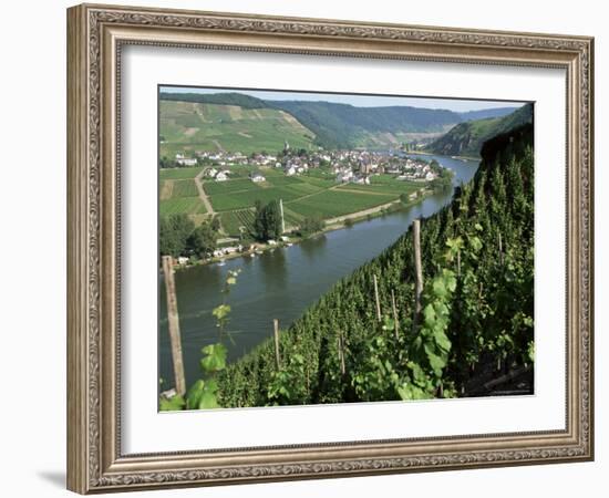 Vineyards on Slopes Above the Mosel River, Gravenburg, Germany, Europe-Oliviero Olivieri-Framed Photographic Print