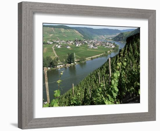 Vineyards on Slopes Above the Mosel River, Gravenburg, Germany, Europe-Oliviero Olivieri-Framed Photographic Print