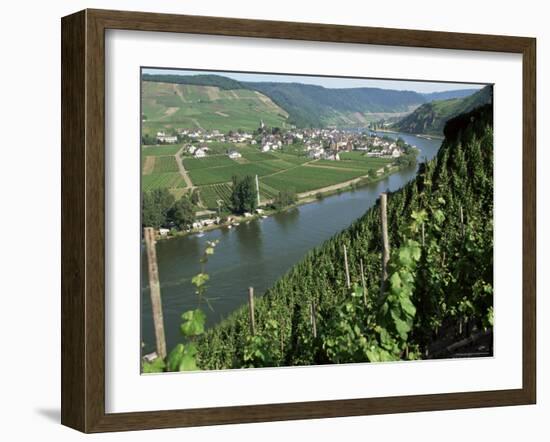 Vineyards on Slopes Above the Mosel River, Gravenburg, Germany, Europe-Oliviero Olivieri-Framed Photographic Print