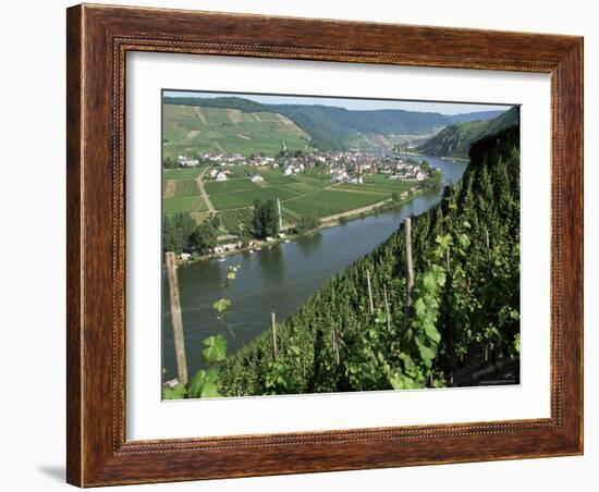 Vineyards on Slopes Above the Mosel River, Gravenburg, Germany, Europe-Oliviero Olivieri-Framed Photographic Print