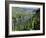 Vineyards on Slopes Above the Mosel River, Gravenburg, Germany, Europe-Oliviero Olivieri-Framed Photographic Print