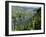 Vineyards on Slopes Above the Mosel River, Gravenburg, Germany, Europe-Oliviero Olivieri-Framed Photographic Print