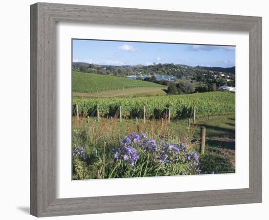 Vineyards, Ostend, Waiheke Island, Hauraki Gulf, North Island, New Zealand-Ken Gillham-Framed Photographic Print