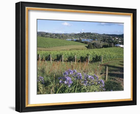 Vineyards, Ostend, Waiheke Island, Hauraki Gulf, North Island, New Zealand-Ken Gillham-Framed Photographic Print