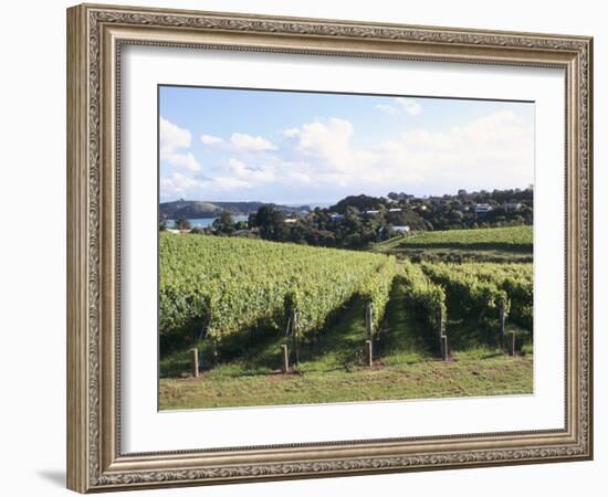 Vineyards, Ostend, Waiheke Island, North Island, New Zealand-Ken Gillham-Framed Photographic Print