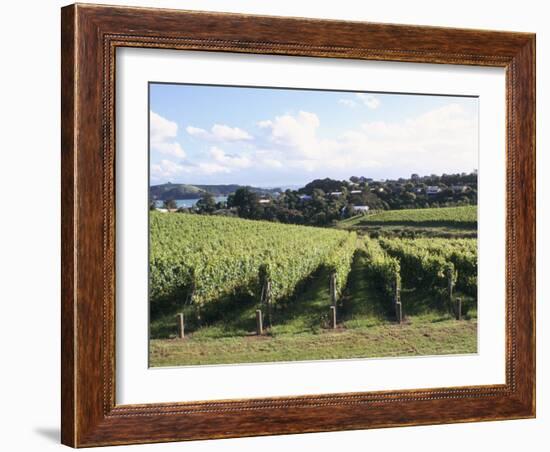 Vineyards, Ostend, Waiheke Island, North Island, New Zealand-Ken Gillham-Framed Photographic Print