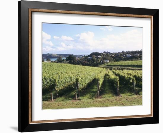 Vineyards, Ostend, Waiheke Island, North Island, New Zealand-Ken Gillham-Framed Photographic Print