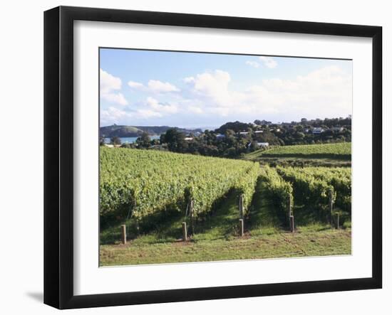 Vineyards, Ostend, Waiheke Island, North Island, New Zealand-Ken Gillham-Framed Photographic Print