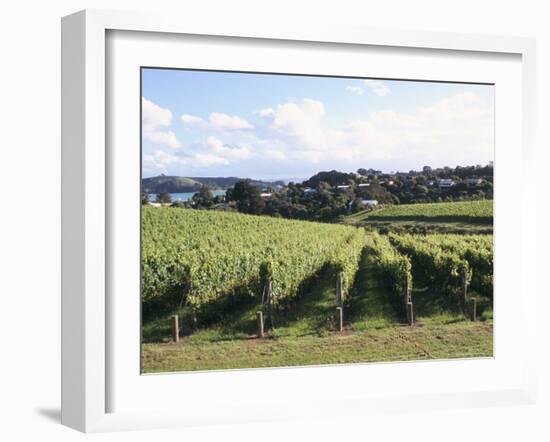 Vineyards, Ostend, Waiheke Island, North Island, New Zealand-Ken Gillham-Framed Photographic Print