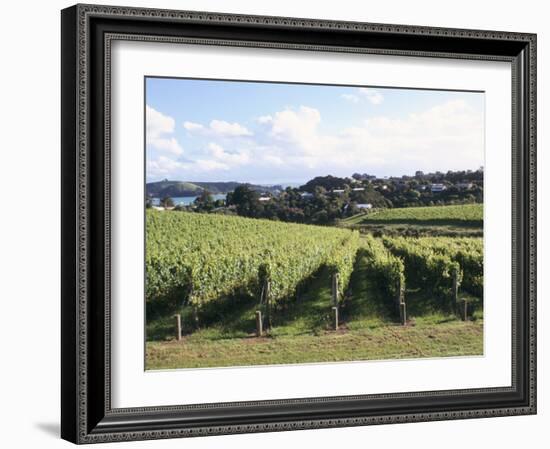 Vineyards, Ostend, Waiheke Island, North Island, New Zealand-Ken Gillham-Framed Photographic Print