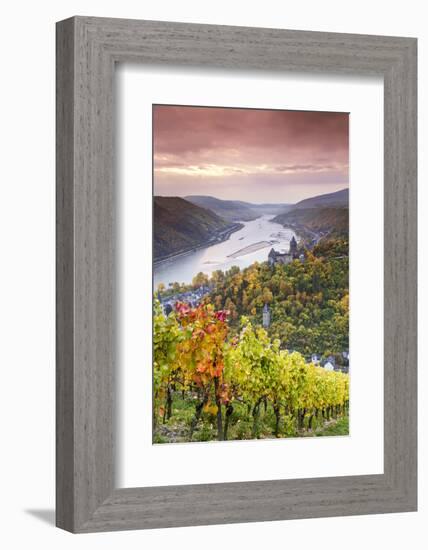 Vineyards over Bacharach, Rhineland-Palatinate, Germany-Matteo Colombo-Framed Photographic Print