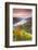 Vineyards over Bacharach, Rhineland-Palatinate, Germany-Matteo Colombo-Framed Photographic Print