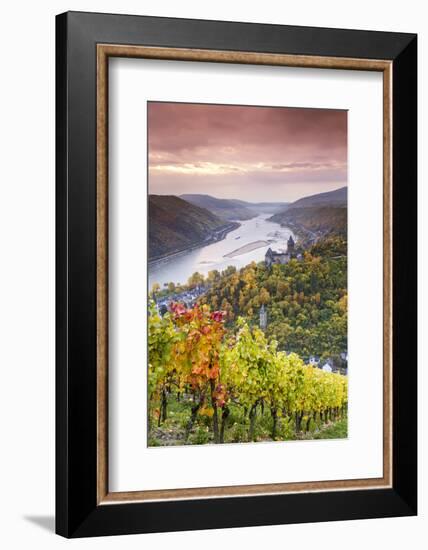 Vineyards over Bacharach, Rhineland-Palatinate, Germany-Matteo Colombo-Framed Photographic Print