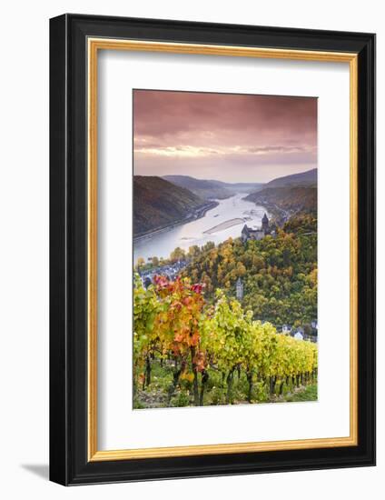 Vineyards over Bacharach, Rhineland-Palatinate, Germany-Matteo Colombo-Framed Photographic Print